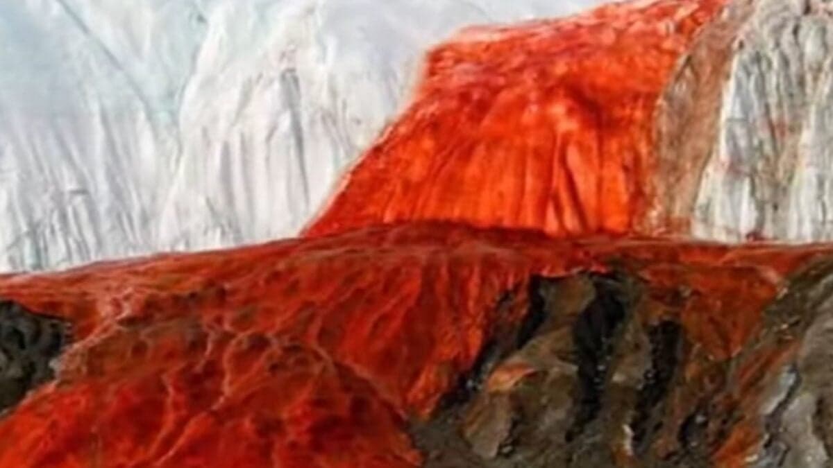 El misterio antártico resuelto tras un siglo de enigmas